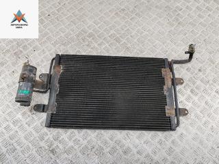 радиатор кондиционера Volkswagen Golf 4 поколение 1998, 1.6 л., бензин, МКПП, серый, хетчбэк 5 дв., 1J0320411B