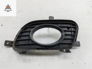 рамка фары противотуманной левой Mercedes-Benz A-Класс W169 2005, 1.7 л., бензин, АКПП, серый, хетчбэк 5 дв., 1698850922