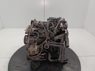 двигатель Nissan Primera P12 2004, цвет, F9Q260