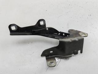петля капота правая Renault Laguna III 2008, чёрный, универсал, 654000001