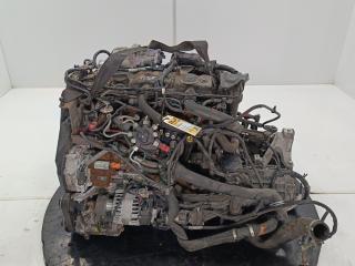 двигатель Ford Focus 2 поколение 2006, цвет, KKDB