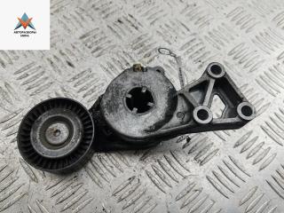 механизм натяжения ремня, цепи Volkswagen Golf 4 поколение 2003, 1.9 л., дизель, МКПП, серый, хетчбэк 5 дв., 950414