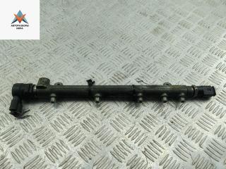 топливная рампа Mercedes-Benz E-Класс W211/S211 [рестайлинг] 2006, 2.2 л., дизель, АКПП, серый, седан, 0445214038, 6110700395