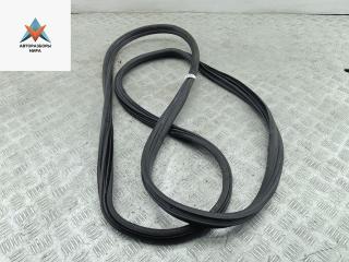 уплотнитель двери Volkswagen Sharan 1 поколение 1999, 1.9 л., дизель, АКПП, красный, минивэн