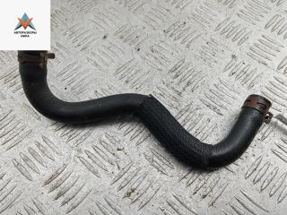 шланг гидроусилителя Renault Laguna 2 поколение [рестайлинг] 2006, 1.6 л., бензин, МКПП, синий, универсал