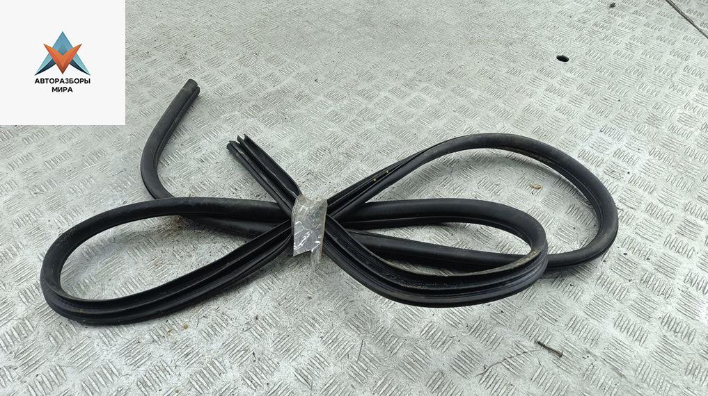 уплотнитель двери Ford Focus 2 поколение 2006, 1.8 л., бензин, МКПП, чёрный, универсал - фото №1