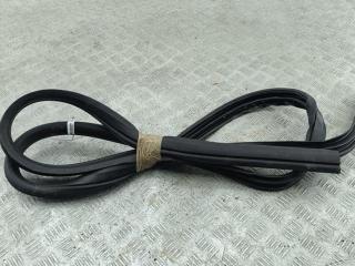 уплотнитель двери Ford Focus II 2008, 1.6 л., i, бензин, МКПП, синий, универсал