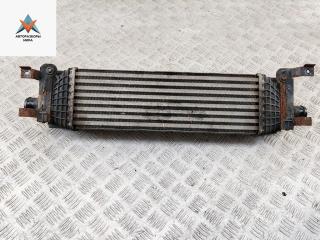 радиатор интеркулера Ford Fusion 1 поколение [рестайлинг] 2006, 1.6 л., дизель, МКПП, синий, хетчбэк 5 дв., 5S6H9L440AD