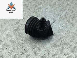 гофра инжектора BMW 5 серия E39 1998, 2.5 л., бензин, АКПП, седан, 1740931