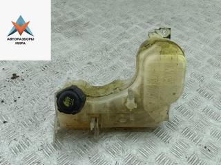 бачок расширительный Renault Laguna 3 поколение 2008, 2.0 л., дизель, 217100014R