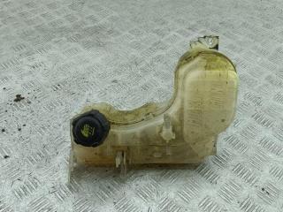 бачок расширительный Renault Laguna 3 поколение 2008, 2.0 л., дизель, 217100014R