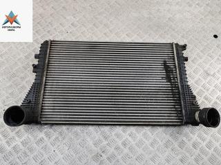 радиатор интеркулера Volkswagen Touran 1 поколение 2003, 1.9 л., дизель, МКПП, серый, минивэн, 1K0145803