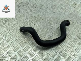 патрубок радиатора Skoda Octavia mk2 (A5 1Z) 2008, 1.9 л., дизель