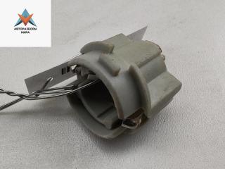 Патрон лампы фонаря Volkswagen Passat B5 [рестайлинг] 2004, 2.0 л., дизель, МКПП, синий, седан, 3B5945257C