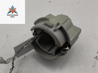 Патрон лампы фонаря Volkswagen Passat B5 [рестайлинг] 2004, 2.0 л., дизель, МКПП, синий, седан, 3B5945257C