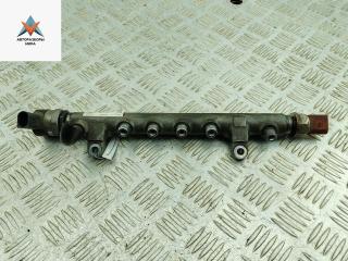 топливная рампа Volkswagen Passat B6 2008, 2.0 л., дизель, МКПП, коричневый, универсал, 03L130089