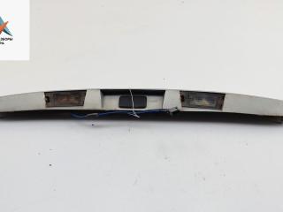 накладка подсветки номера Renault Scenic 1 поколение [рестайлинг] 2002, 1.6 л., бензин, МКПП, серый, минивэн, 7700128465