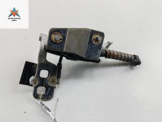 петля крышки багажника BMW 3 серия E46 [рестайлинг] 2001, серый, универсал, 8215532, 8254016