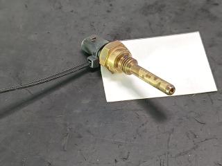 датчик температуры Ford Transit 8 поколение [рестайлинг] 2023, цвет, GK2A6G004AA