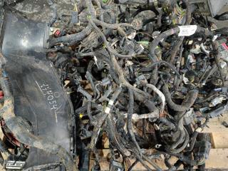 проводка двигателя Ford Transit 8 поколение [рестайлинг] 2023, цвет