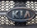 решетка радиатора Kia Sorento 1 поколение 2003, зелёный, внедорожник 5 дв., 86350-3E010 - фото №6