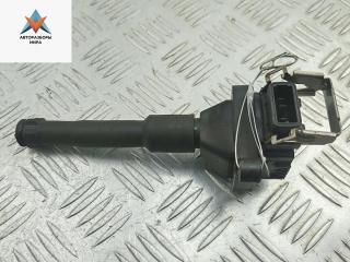 катушка зажигания BMW 5 серия E39 1999, 2.5 л., бензин, МКПП, серый, универсал, 1703227, 0221504004