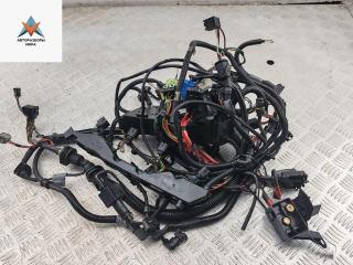 проводка двигателя BMW 3 серия E46 [рестайлинг] 2002, 1.8 л., бензин, МКПП, красный, хетчбэк 3 дв., 7515689, 7512554, 7515686