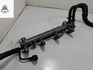 Форсунка топливная (комплект) Volkswagen Golf 4 поколение 2001, 1.4 л., бензин, МКПП, серый, хетчбэк 5 дв., 036133319