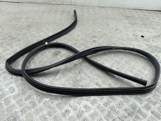уплотнитель двери Nissan Qashqai J10 2013, 1.5 л., дизель, МКПП, красный, внедорожник 5 дв.