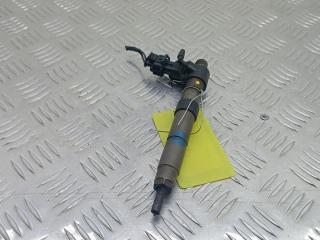 форсунка Land Rover Freelander 2 поколение [рестайлинг] 2011, 2.2 л., D TD4, дизель, МКПП, внедорожник 5 дв., 0445116043