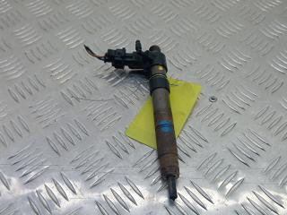форсунка Land Rover Freelander 2 поколение [рестайлинг] 2011, 2.2 л., D TD4, дизель, МКПП, внедорожник 5 дв., 0445116043