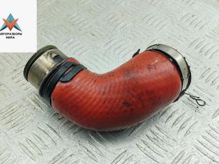 патрубок турбины Volkswagen Passat B6 2006, 2.0 л., дизель, 038131111A