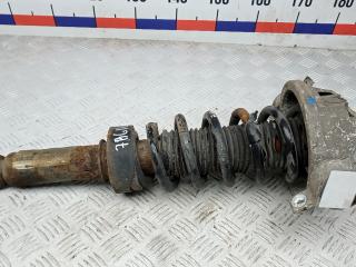 амортизатор задний правый Porsche Cayenne 955 2005, 3.2 л., бензин, АКПП, внедорожник 5 дв.