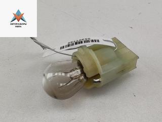 Патрон лампы фонаря BMW 5 серия E39 [рестайлинг] 2001, 2.2 л., бензин, АКПП, серый, седан, 133296