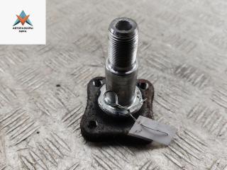 Цапфа задняя (ось ступицы) Dacia (Renault) Sandero II 2019, 1.0 л., бензин, МКПП, белый, хетчбэк 5 дв.