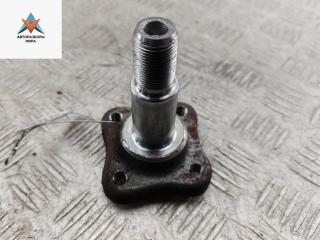 Цапфа задняя (ось ступицы) Dacia (Renault) Sandero II 2019, 1.0 л., бензин, МКПП, белый, хетчбэк 5 дв.