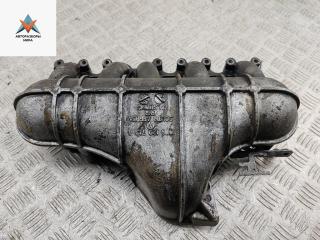 коллектор впускной Volkswagen Crafter 1 поколение 2006, 2.5 л., дизель, микроавтобус, 076129713A