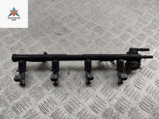 топливная рампа Ford Fiesta 5 поколение [рестайлинг] 2006, 1.3 л., бензин, МКПП, красный, хетчбэк 3 дв., 2N1U9F593KA, 2NIU9D280CB