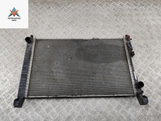 радиатор охлаждения Mercedes-Benz B-Класс W245 2005, 2.0 л., дизель, МКПП, серый, минивэн, 1695001604