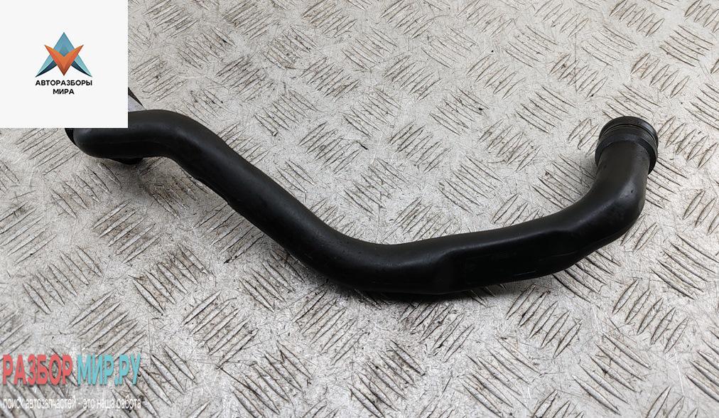 патрубок вентиляции картера Volkswagen Passat B5 1999, 1.9 л., дизель, МКПП, синий, седан - фото №1