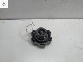 пробка расширительного бачка Opel Insignia 1 поколение (A) 2011, 1.4 л., бензин, МКПП, белый, седан