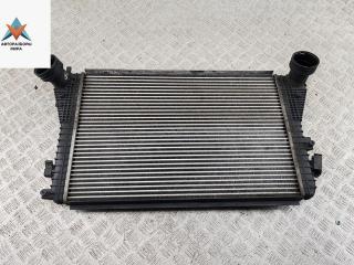 радиатор интеркулера Volkswagen Touran 1 поколение 2004, 1.9 л., дизель, МКПП, синий, минивэн, 1K0145927