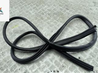 уплотнитель двери Ford Focus 2 поколение [рестайлинг] 2007, 1.6 л., i, бензин, МКПП, серый, хетчбэк 5 дв.