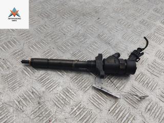 форсунка Ford Fusion 1 поколение [рестайлинг] 2006, 1.6 л., дизель, МКПП, синий, хетчбэк 5 дв., 0445110259