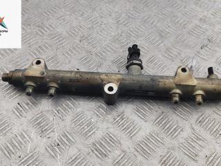 топливная рампа Chrysler Voyager 5 поколение 2007, 2.8 л., дизель, АКПП, серый, минивэн, 0445214041