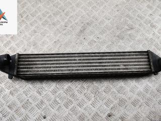 радиатор интеркулера SEAT Alhambra 1 поколение [рестайлинг] 2001, 1.9 л., дизель, МКПП, красный, минивэн