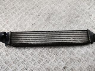 радиатор интеркулера SEAT Alhambra 2001, 1.9 л., дизель, МКПП, красный, минивэн