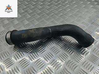 патрубок интеркулера Volkswagen Sharan 1 поколение [2-й рестайлинг] 2003, 1.9 л., дизель, МКПП, серый, минивэн, 3M219F072AA