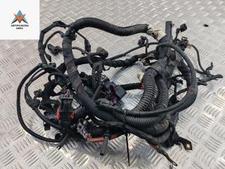 проводка двигателя Opel Zafira 2 поколение (B) 2007, 1.9 л., дизель, МКПП, чёрный, минивэн, 55205846, 55561062