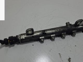 топливная рампа Opel Zafira 2 поколение (B) 2007, 1.9 л., дизель, АКПП, чёрный, минивэн, 0445214122